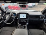 2024 F-150 Thumbnail 9
