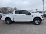 2024 F-150 Thumbnail 10