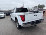 2024 F-150 Thumbnail 16