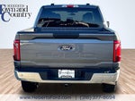 2025 F-150 Thumbnail 4
