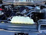 2025 F-150 Thumbnail 9
