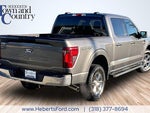 2025 F-150 Thumbnail 11
