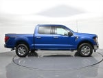 2025 F-150 Thumbnail 4
