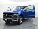 2025 F-150 Thumbnail 24