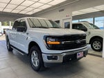 2025 F-150 Thumbnail 1
