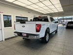 2025 F-150 Thumbnail 5