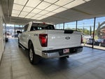 2025 F-150 Thumbnail 7