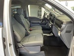 2025 F-150 Thumbnail 12