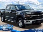 2025 F-150 Thumbnail 1