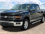 2025 F-150 Thumbnail 4