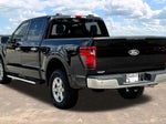 2025 F-150 Thumbnail 5