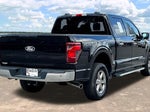 2025 F-150 Thumbnail 8