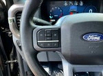 2025 F-150 Thumbnail 14