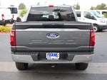 2025 F-150 Thumbnail 7
