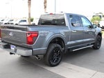2025 F-150 Thumbnail 8