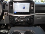 2025 F-150 Thumbnail 18