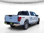 2025 F-150 Thumbnail 7