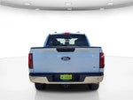 2025 F-150 Thumbnail 8