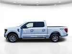 2025 F-150 Thumbnail 10
