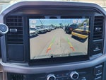2025 F-150 Thumbnail 13