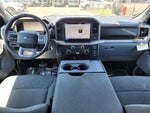 2025 F-150 Thumbnail 17