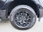 2025 F-150 Thumbnail 31