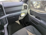2026 F-150 Thumbnail 16