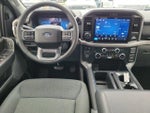 2026 F-150 Thumbnail 12