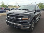 2024 F-150 Thumbnail 3