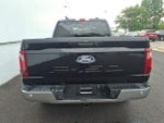 2024 F-150 Thumbnail 5