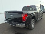 2024 F-150 Thumbnail 6