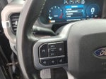 2024 F-150 Thumbnail 18