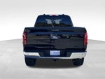 2024 F-150 Thumbnail 4