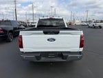 2024 F-150 Thumbnail 5