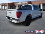 2025 F-150 Thumbnail 3