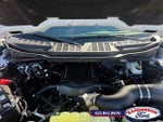 2025 F-150 Thumbnail 9