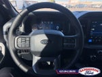 2025 F-150 Thumbnail 13