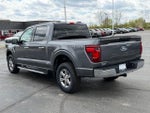 2025 F-150 Thumbnail 4