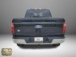 2025 F-150 Thumbnail 3