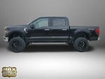 2025 F-150 Thumbnail 4