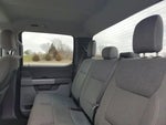 2025 F-150 Thumbnail 10