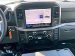 2025 F-150 Thumbnail 6