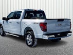 2025 F-150 Thumbnail 11