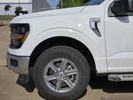2025 F-150 Thumbnail 1