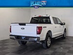 2025 F-150 Thumbnail 8
