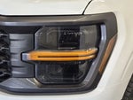 2025 F-150 Thumbnail 10