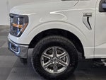 2025 F-150 Thumbnail 11