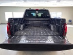 2025 F-150 Thumbnail 6