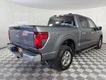 2025 F-150 Thumbnail 7