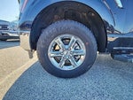 2025 F-150 Thumbnail 13